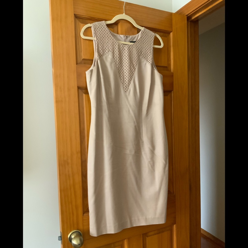 Ann Taylor Sheath w/Net Detail Sz 12 Beige
